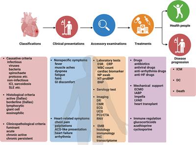 Revitalizing myocarditis treatment through gut microbiota modulation: unveiling a promising therapeutic avenue